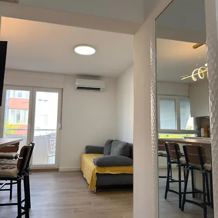 Apartament Comfort Spacious In Center *
