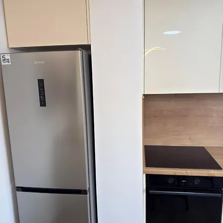 Apartament Comfort Spacious In Center